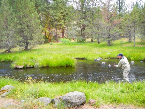 Fishing Report Image