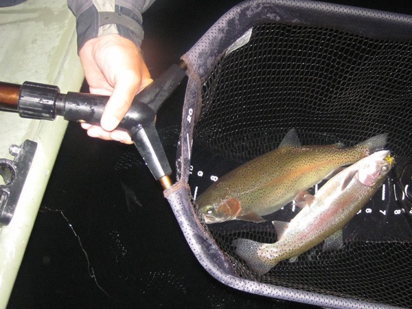 Fishing Report Image