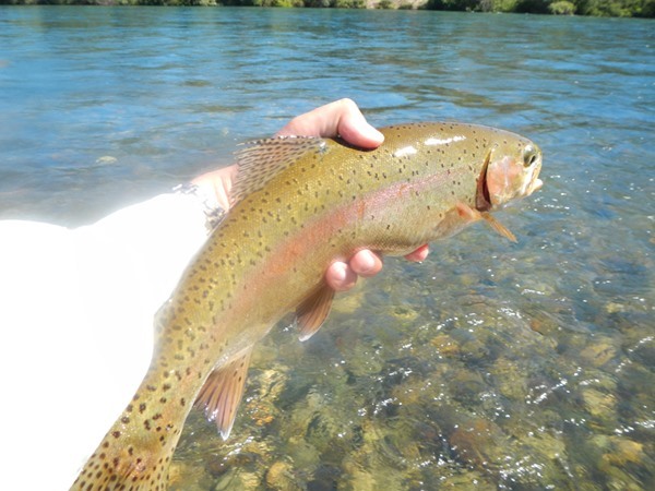 Fishing Report Image