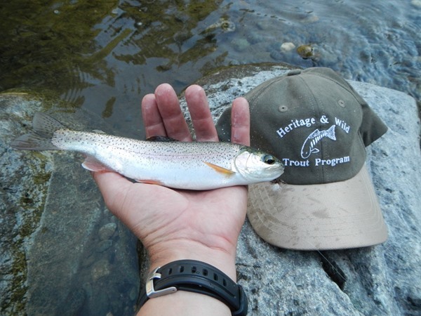 Fishing Report Image