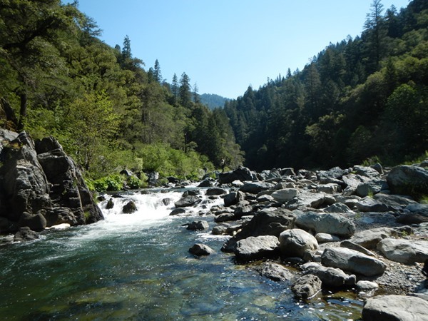 Fishing Report Image