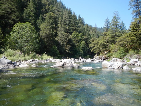 Fishing Report Image