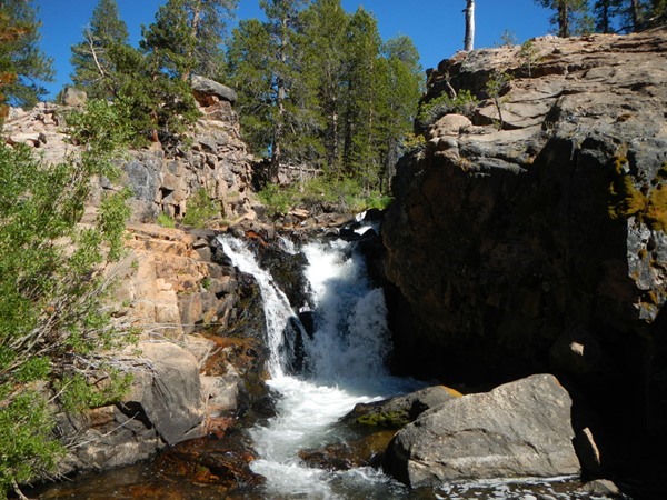 Llewellyn falls, barrier to rainbow trout