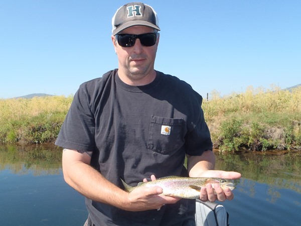 On a dry fly
