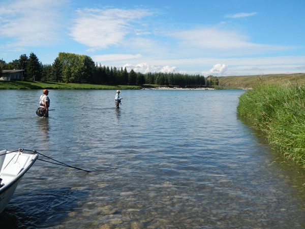 The Bow is a great river for wading, too