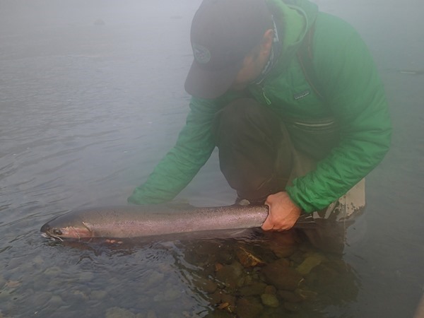 mist on the river...classic steelhead moment