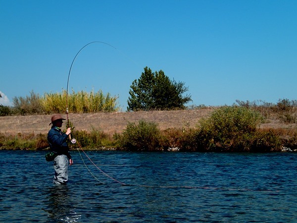 light weight spey in action