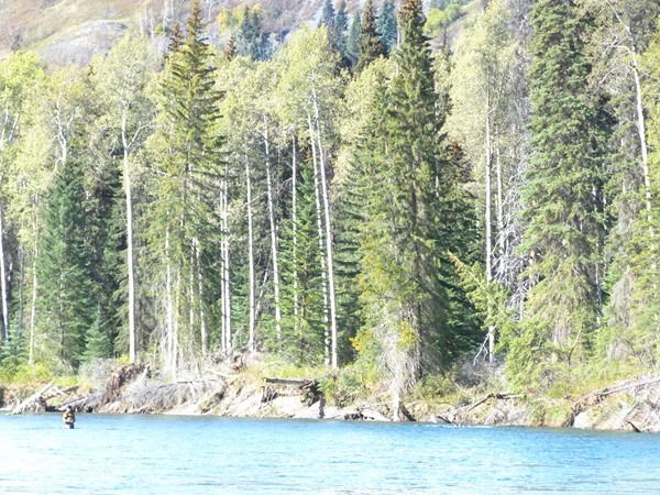 Fishing Report Image