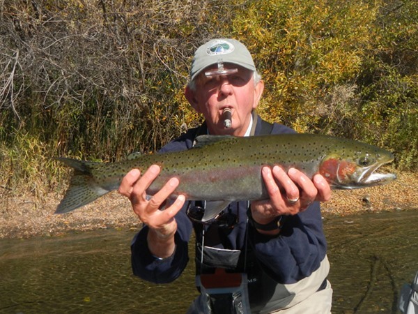 George with a wild one