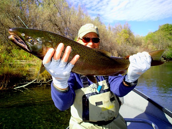 Bruce's big wild buck