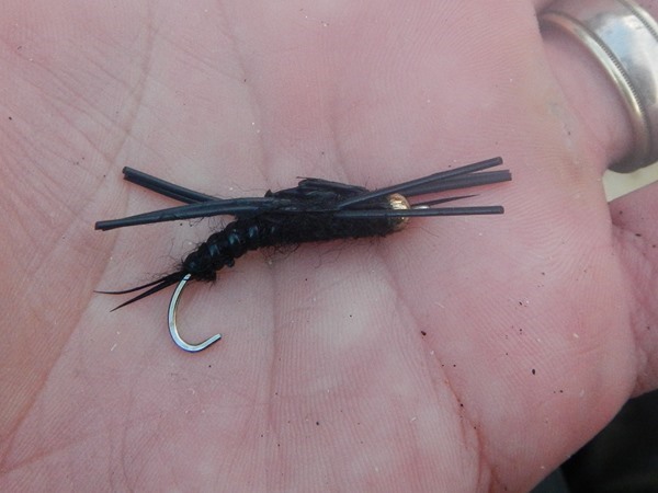 A big mean fish broke this hook