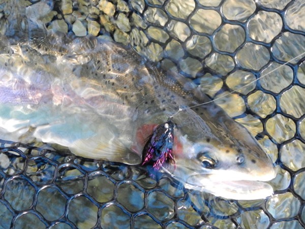 Fishing Report Image