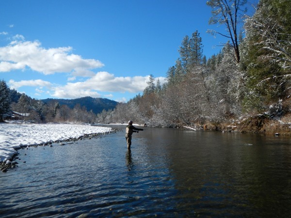 Ideal conditions for swinging flies