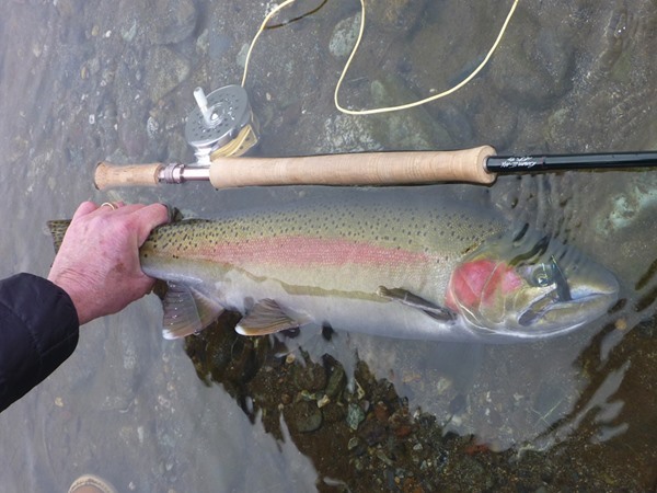 Fishing Report Image