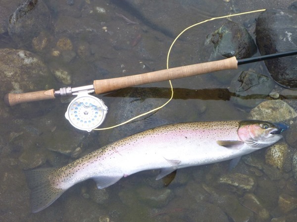 Fishing Report Image