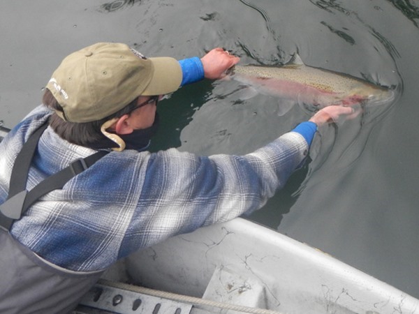 plaid is what the cool kids are wearing this season