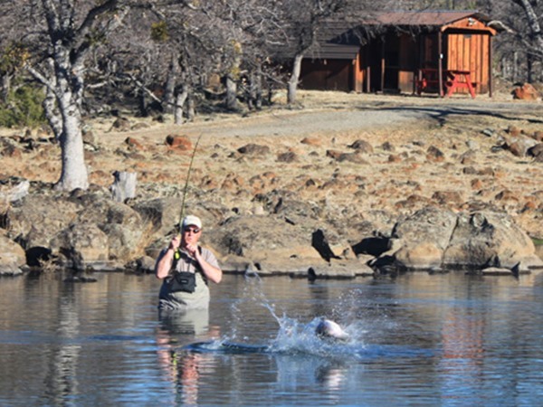 Tim's big fish in the air