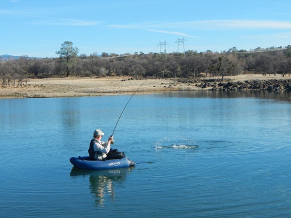 Fishing Report Image