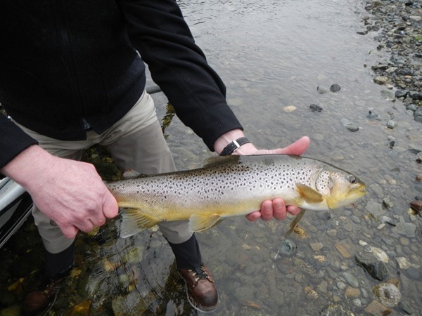 Fishing Report Image