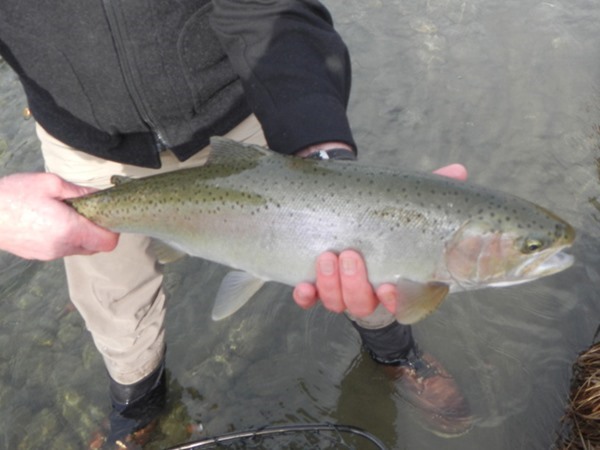 Fishing Report Image