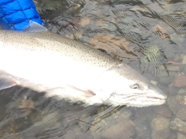 Fishing Report Image