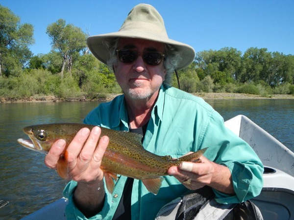 On a dry fly