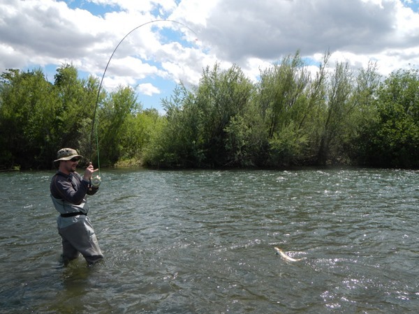 yes wading is allowed on the Lower Sac