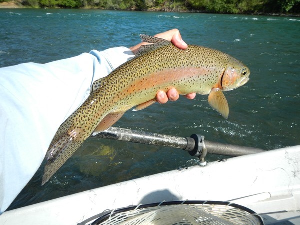 Fishing Report Image