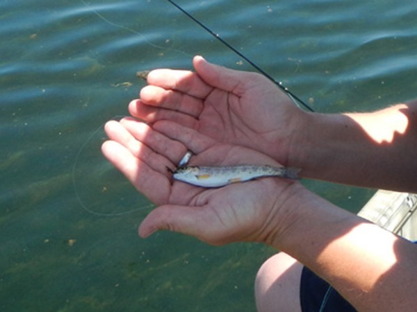 Fishing Report Image