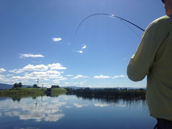 should have been here yesterday!