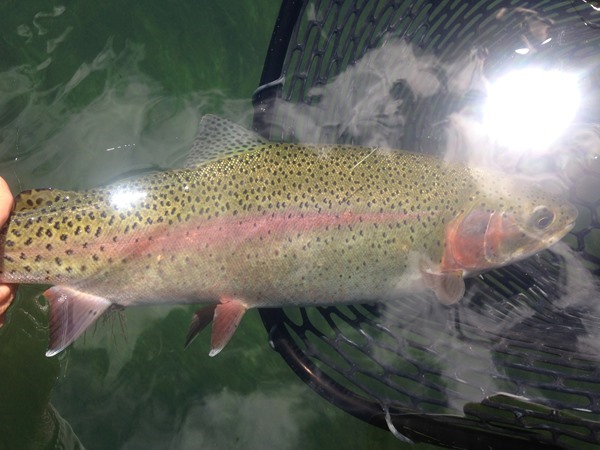 Classic Fall River huge rainbow