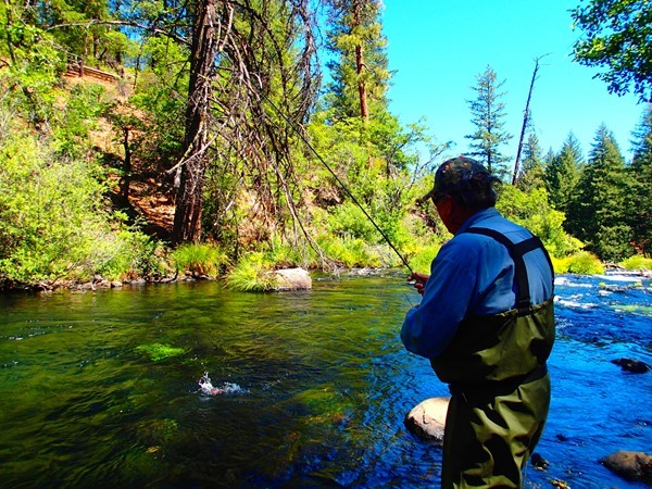 Mike Kennedy enjoying a green drake hatch
