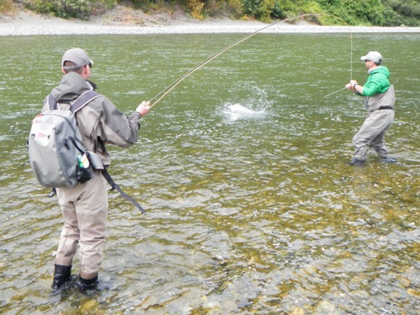 Dax lending a hand with a big fresh salmon