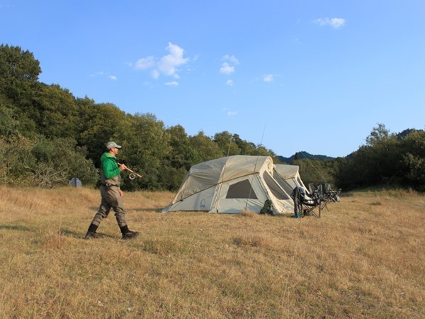 Safari tents