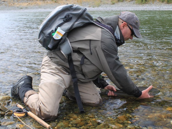 Wolf releasing a nice steelie