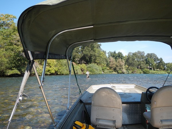 The view through the bimini top