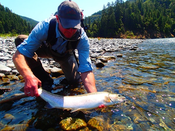 Wolf hooked the most adult steelhead for the camp...I lost count