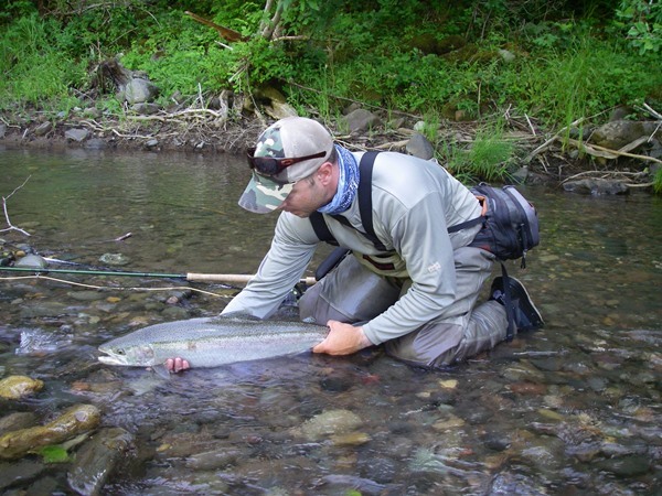 A superb Trinity wild steelhead