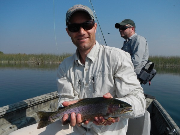 Our first big dry fly fish of the day