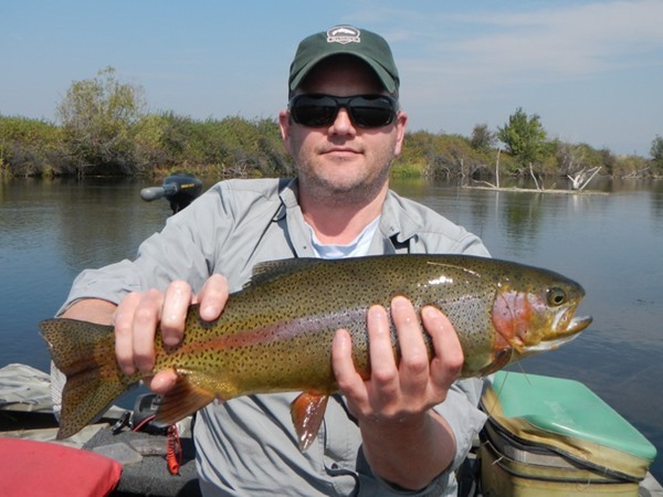 Rob's 19 rainbow on a dry