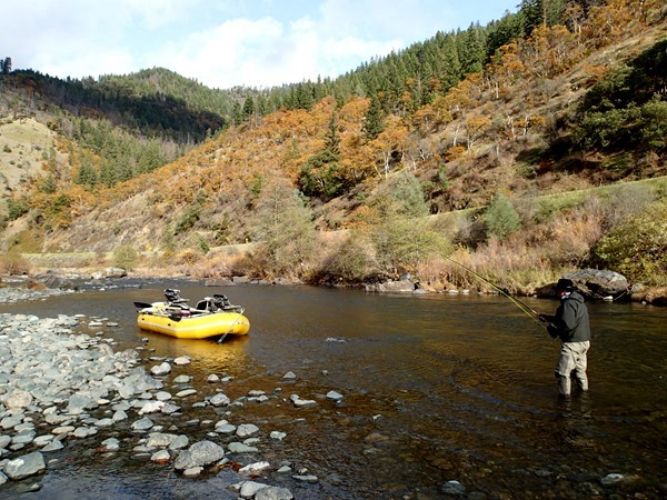 Fishing Report Image