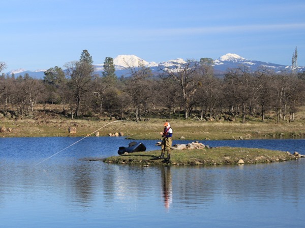 The island with Mt Lassen in the background