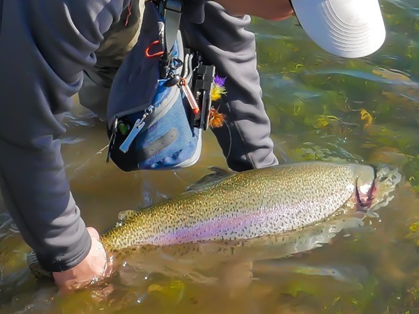 Fishing Report Image