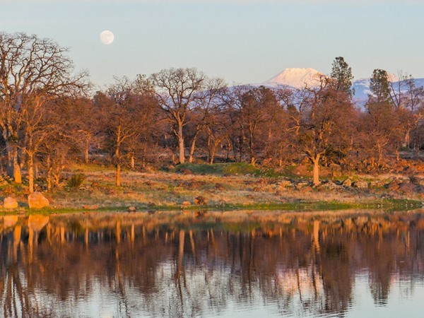 Fishing Report Image