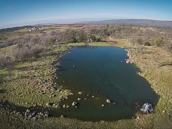 Great aerial view of the lower pond
