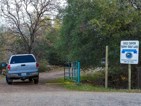 Fishing Report Image