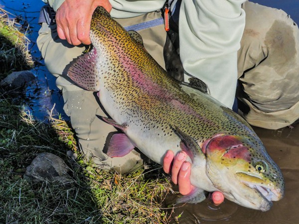 Fishing Report Image