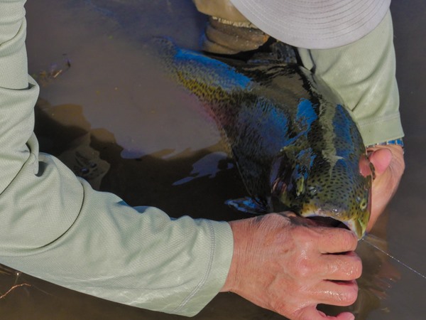 Fishing Report Image