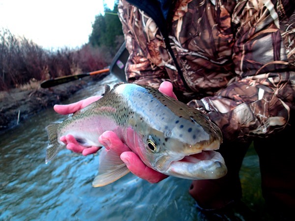 Fishing Report Image