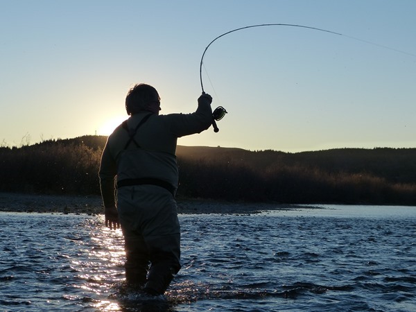 Sunset steelhead hookup